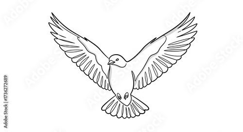 Detailed Line Art Depiction of a Dove in Flight, Captured with Precision, Showcasing the Bird's Graceful Wingspan and Feather Details