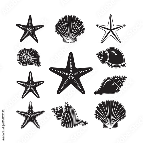 Set of different black sea shells and starfish silhouette vector.