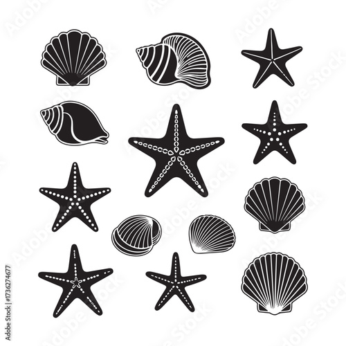 Set of different black sea shells and starfish silhouette vector.