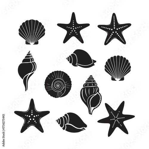 Set of different black sea shells and starfish silhouette vector.