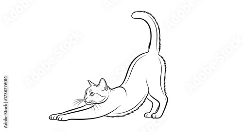 Line art illustration of a cat stretching and yawning with its body arched, showcasing feline flexibility and graceful movements