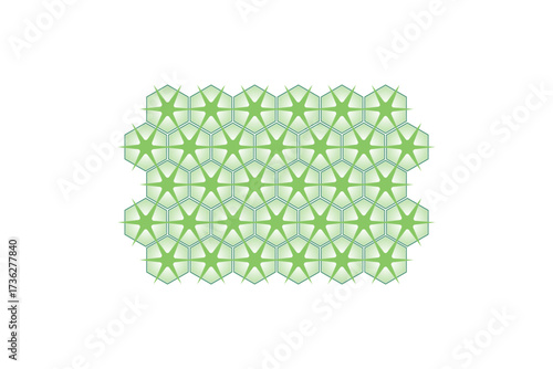 Sclerenchyma Plant Tissue Structure Science Design. Vector Illustration.