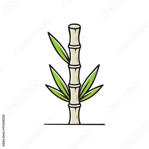 Illustrated bamboo plant with leaves vector illustration