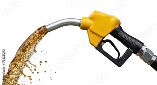 Schilderij op canvas Isolated gas pump nozzle, dispensing fuel, gasoline, liquid resource from silver