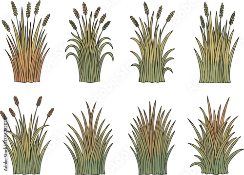 Illustration showing eight different clumps or tufts of grass and reeds, varying in color and shape.
