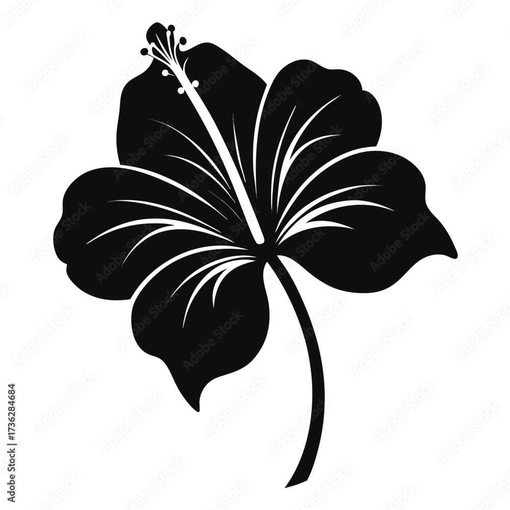 Fototapeta premium black and white flower