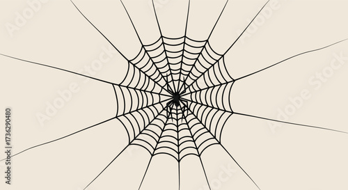 A spider sits in the center of its intricate web.