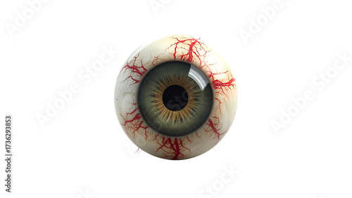 An anatomical illustration of a realistic, bloodshot eyeball with an olive green iris,Perfectly rendered eyeball illustration with detailed blood vessels and realistic reflections