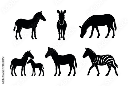Silhouettes of zebras and horses in various poses on white background