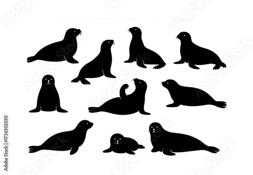 Silhouette collection of nine diverse seal poses and activities