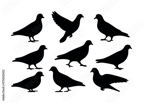 Silhouette collection of pigeons in various poses on white background