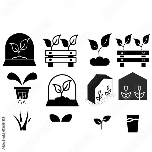 Cultivation growth plant greenhouse gardening seedlings sprout agriculture farming hydroponics plants grow system