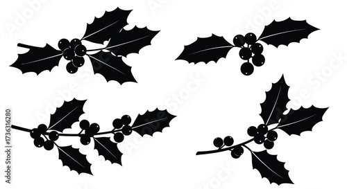 Black and white illustration of holly branches with berries displayed clearly