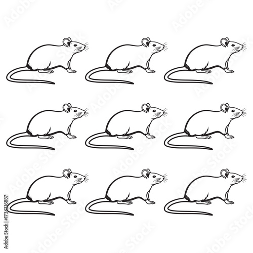 Set of funny cartoon rat animals