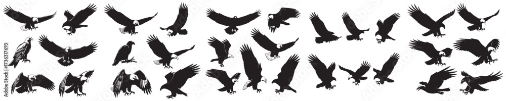 Fototapeta premium Set of eagle silhouette vectors