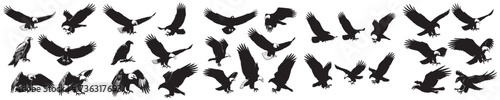 Set of eagle silhouette vectors