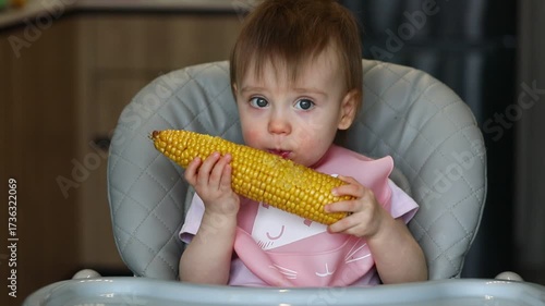 A little girl eats an ear of corn with gusto.