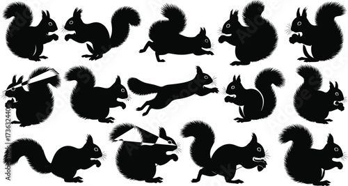 Squirrel silhouette vector set, black animal poses, jumping, standing, laser eyes, funny squirrel art, wildlife clipart, forest illustration