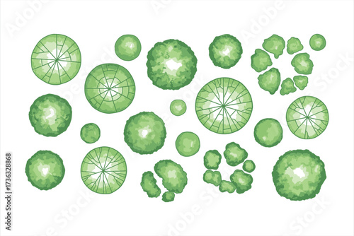 Collection of green trees seen from above in a top down view top view overhead view