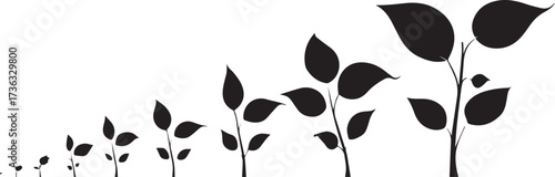 simple vector graphic depicting the growth cycle from small to large leaves, in black on a white background