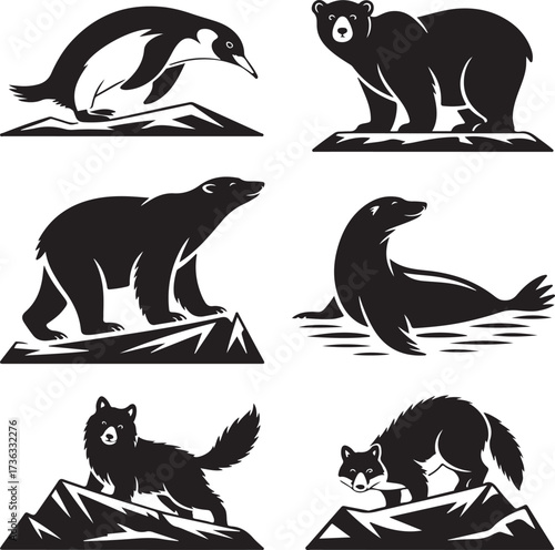 Penguin bear seal wolf fox polar bear