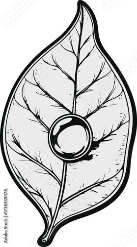  Smooth line art of a single leaf with dew drop 1