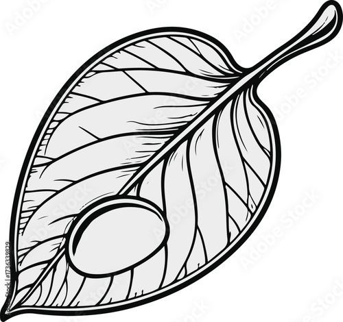  Smooth line art of a single leaf with dew drop 2