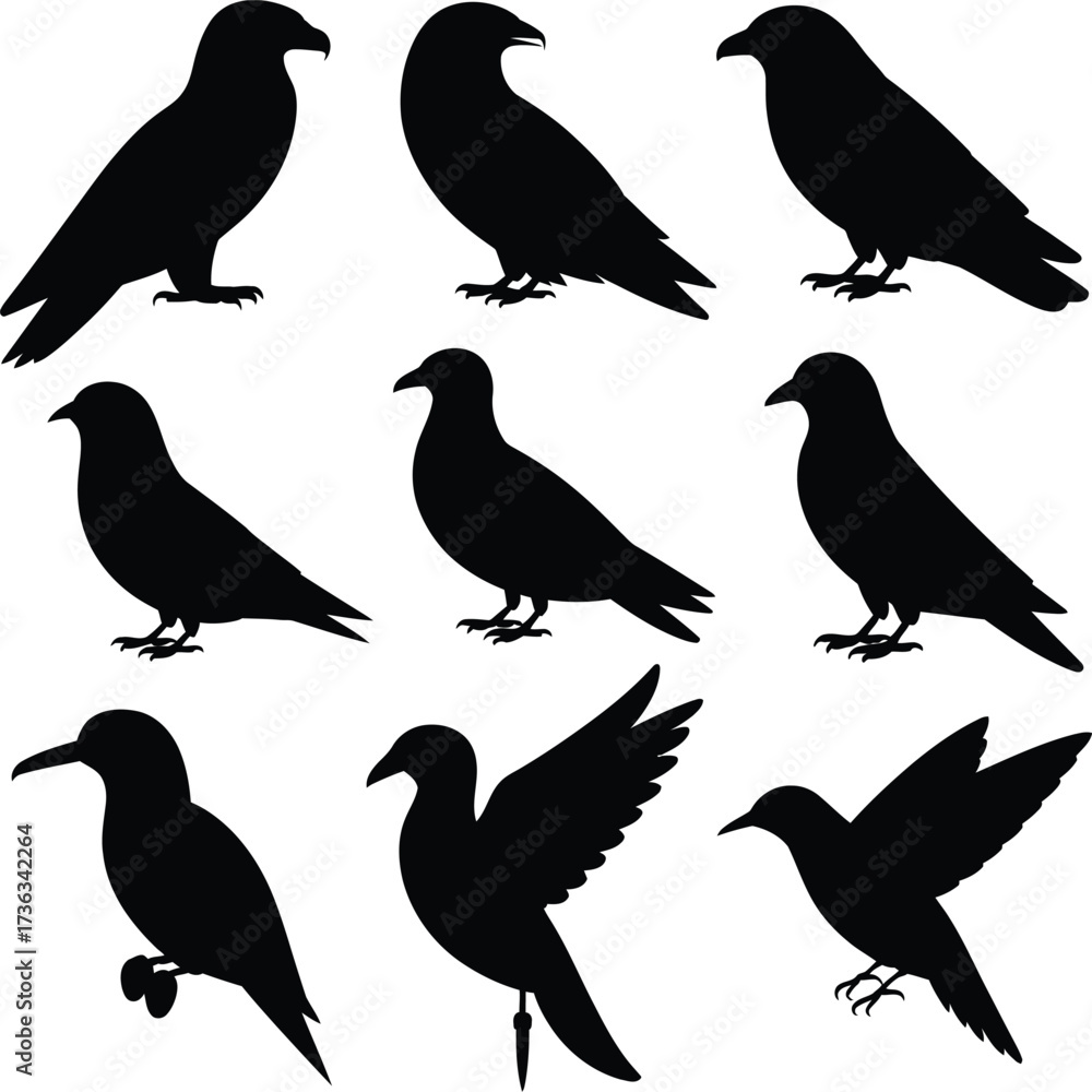 Fototapeta premium Bird silhouettes various poses vector avian