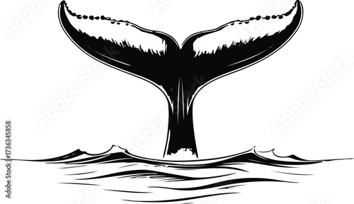  Smooth line drawing of a whale tail above ocean waves 2