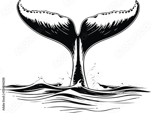 Smooth line drawing of a whale tail above ocean waves