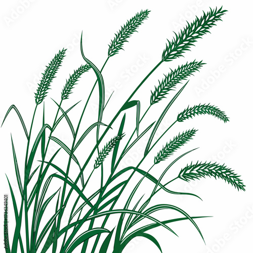 fountain grass green vector