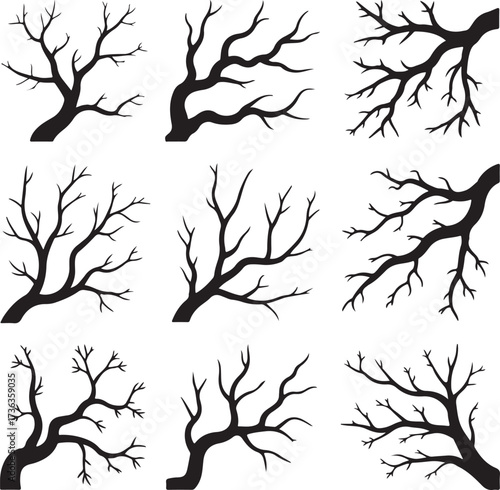 Black bare tree branches bare branches tree silhouette