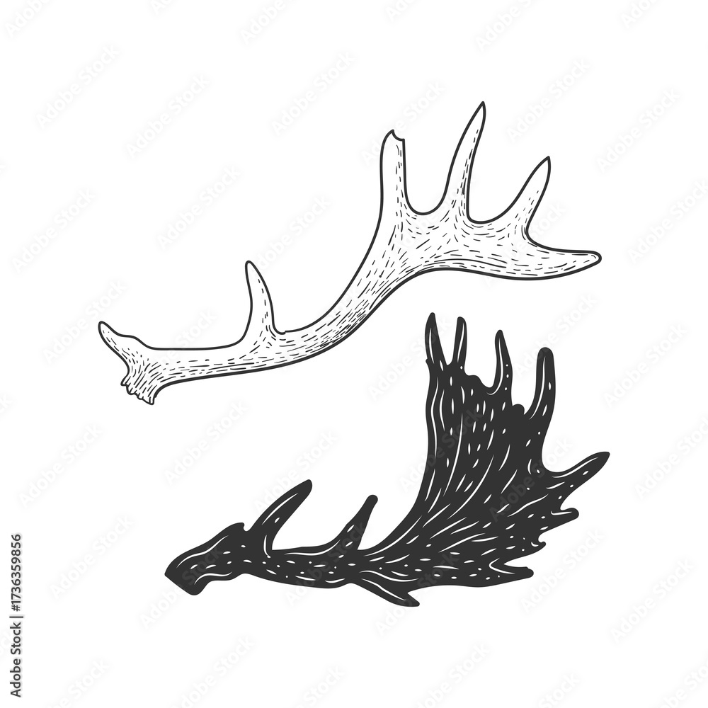 Fototapeta premium Hand Drawn Sketch Style Deer Reindeer Antler Elk Moose Horn Illustration