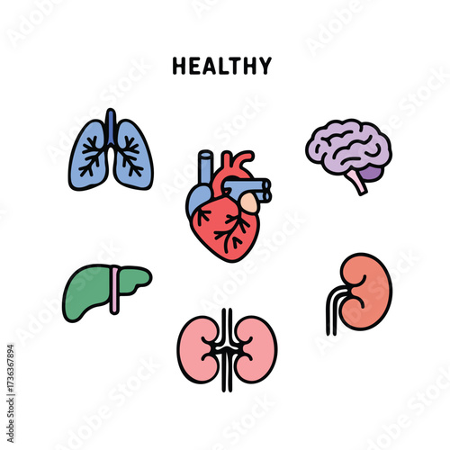 Healthy Human Organs colorful Icons on white background