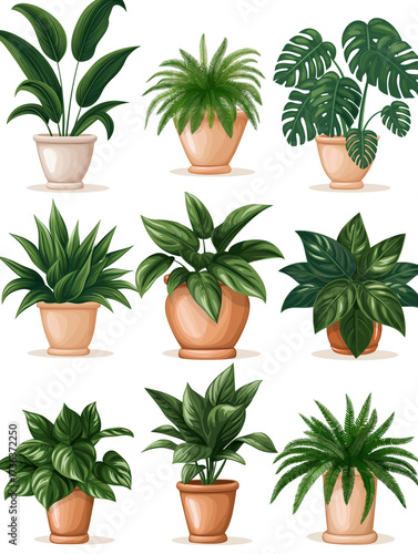 Collection of Indoor Potted Plants Illustration