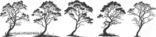 Collection of detailed tree silhouettes in various natural shapes. Elegant black vector illustrations for landscapes, design, and creative artworks. Ideal for nature-inspired projects.