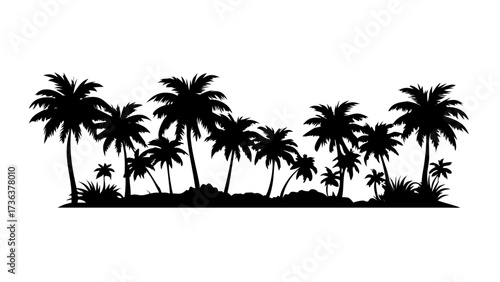 Seamless vector landscape banner with palm tree silhouettes on white background.A silhouette of a group of palm trees and birds
