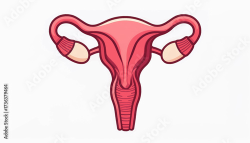 Illustration of a uterus with fallopian tubes and ovaries, depicted in a simplified, anatomical style against a white background.
