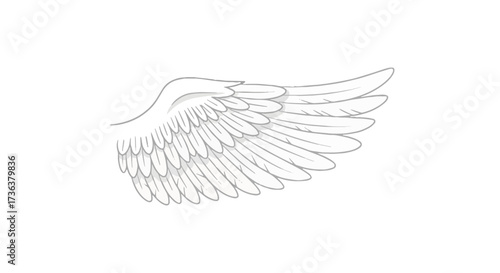 Elegant angel wing line art illustration, symbolizing spirituality, divine grace, and heavenly beauty, perfect for All Saints' Day themes.