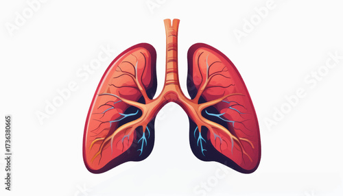 Vibrant illustration of the human respiratory system, showcasing the lungs, trachea, and intricate bronchial tree.