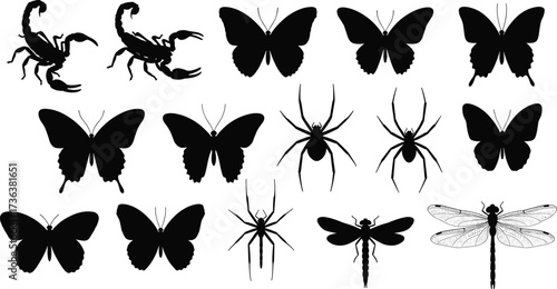 Insect and arachnid silhouette set, vector icons of butterflies, spiders, scorpions, dragonflies, black isolated bug collection, entomology graphic design