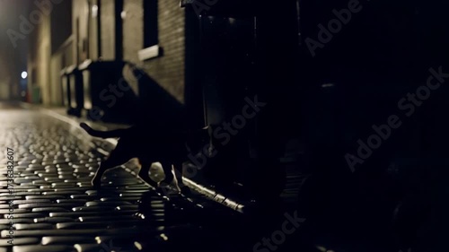 Black cat running on a cobblestone street at night in a dimly lit alleyway.