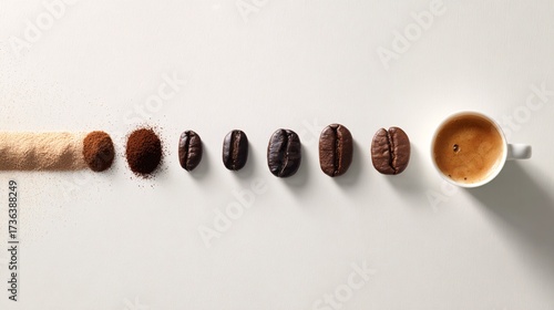 Bean-to-Cup Timeline — Coffee Evolution from Grounds to Brew