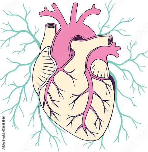 Intricate heart design with vibrant veins, perfect for medical illustrations or health awareness campaigns, originally a scalable vector graphic