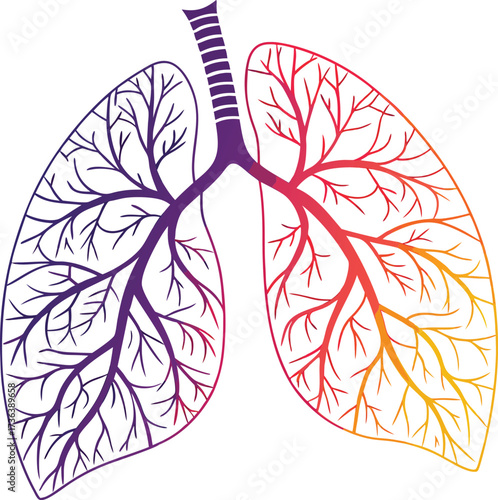 Healthy lungs illustration promoting respiratory health, vibrant anatomical design for medical education and healthcare awareness campaigns, vector design