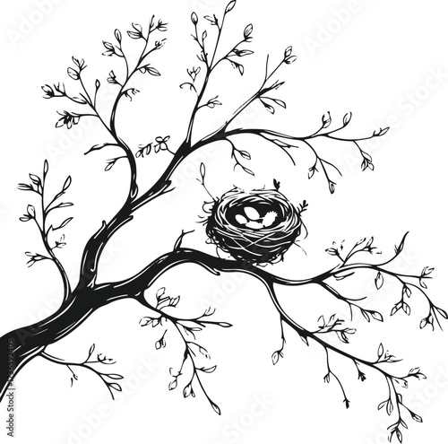 Elegant line art of tree branch with bird nest 3