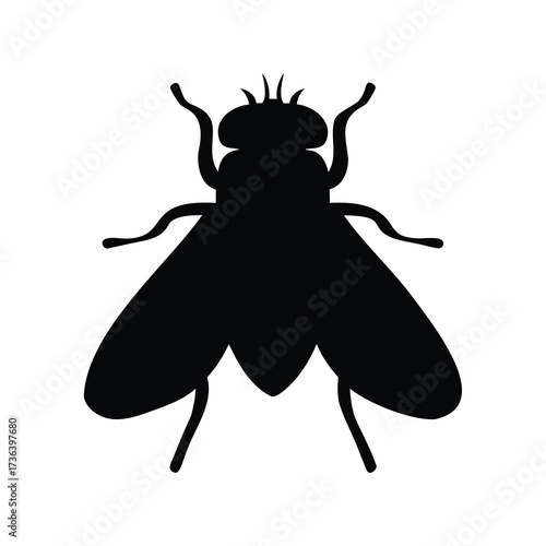 Silhouette of a common housefly with clear details on a white background