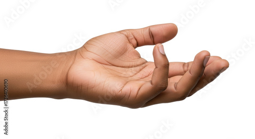 Cuadro en lienzo Isolated hand reaches out, holding something invisible, palm up, medium skin ton