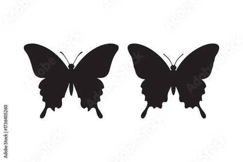 Two silhouetted butterflies facing away from each other