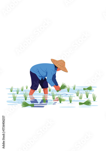 A farmer plants rice seedlings in a flooded paddy field.